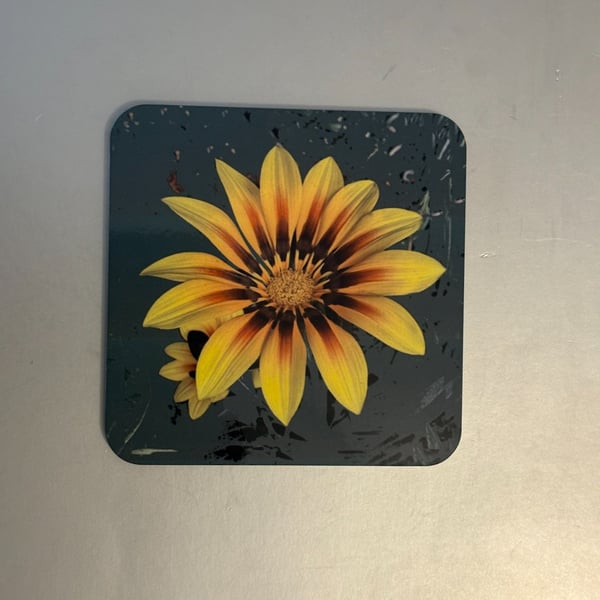 Gazania 9.5cm cork backed coaster 