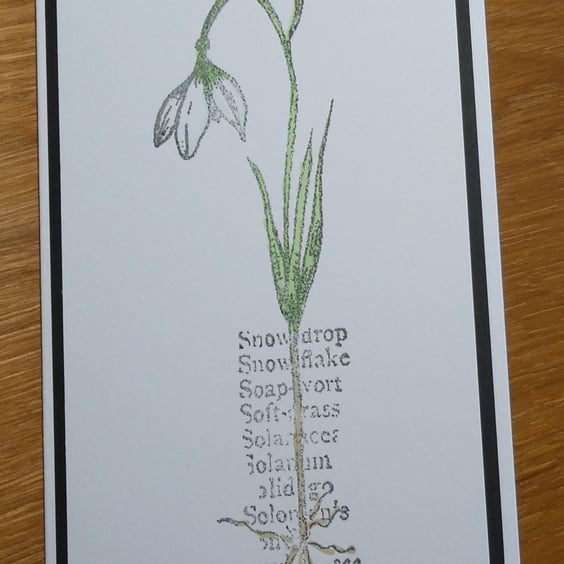 Botanical Style Snowdrop Card - Birthday,  Sympathy 