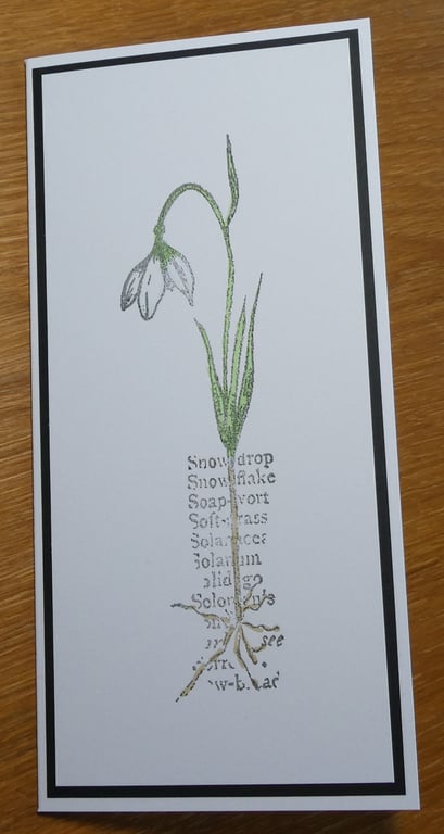 Botanical Style Snowdrop Card - Birthday,  Sympathy 
