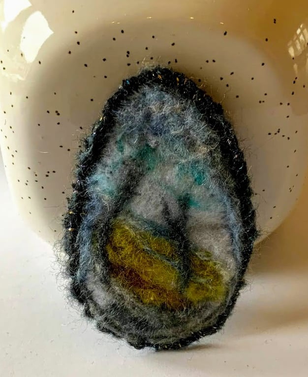 Merino Wool Felted Brooch