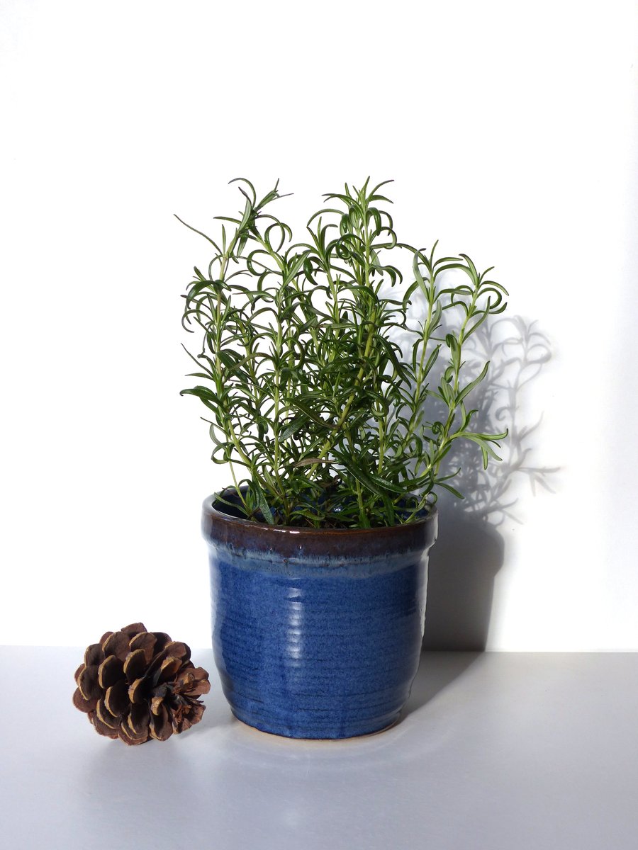 Herb Flower Pot -  Pottery Ceramic Wheelthrown Stoneware UK