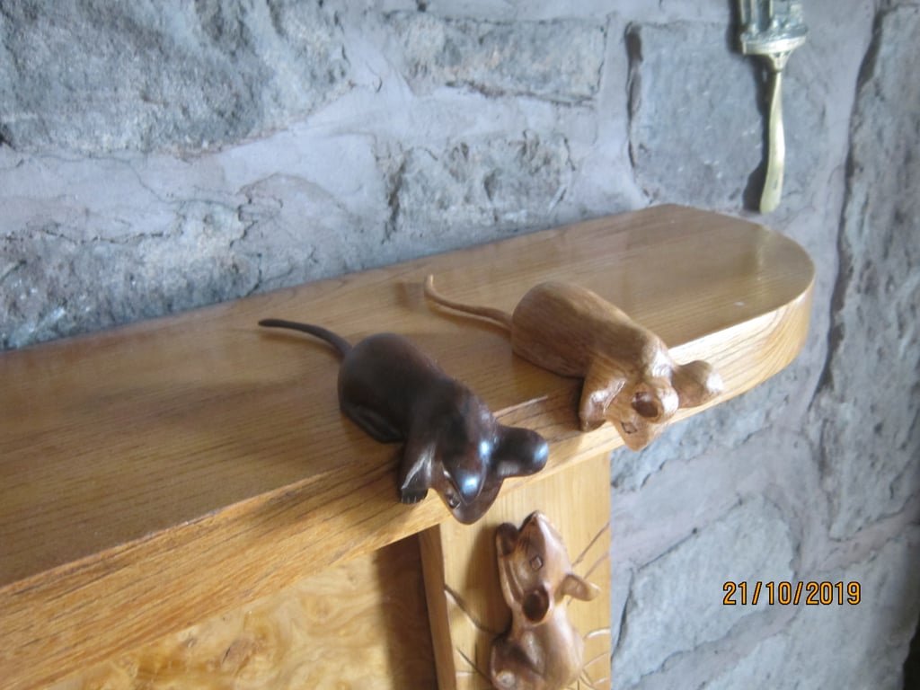 leaning peering mouse