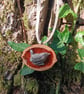 Handmade Wren Wildlife Pendant - Cast in Silver Resin, Polished Walnut Shell