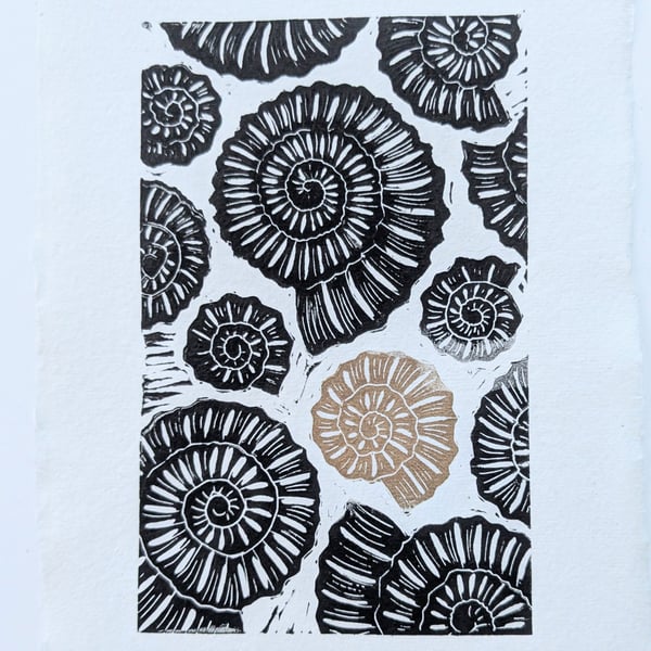 Ammonite Field (Gold Ink Detail)