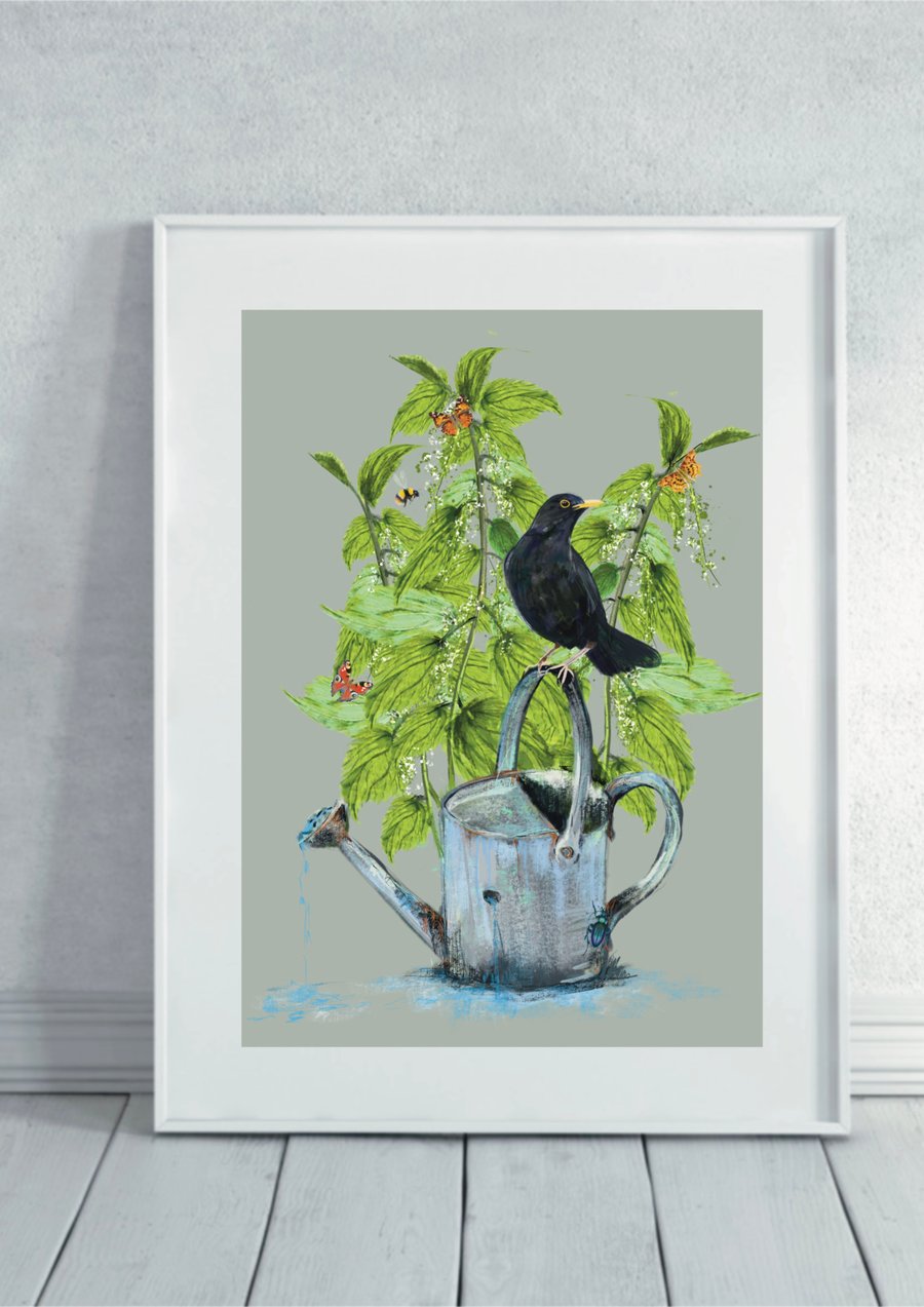 Blackbird Wildlife Art Print