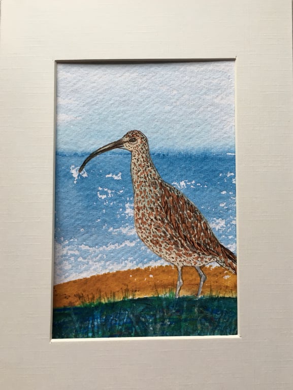 Curlew original painting 
