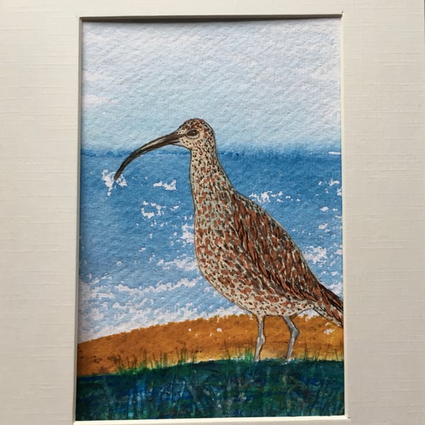 Curlew original painting 