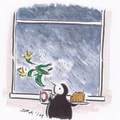 Tiny Penguin