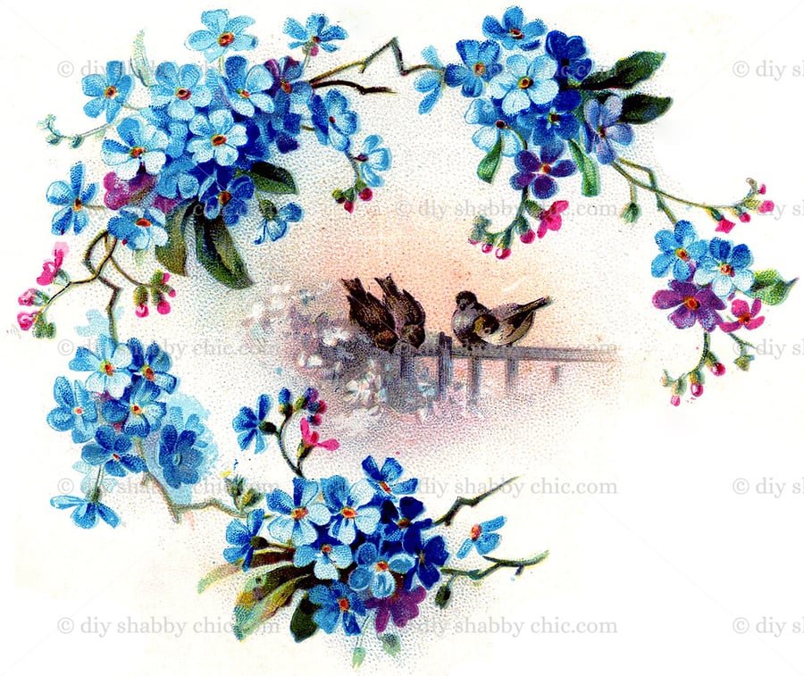 Waterslide Wood Furniture Vintage Image Transfer Shabby Chic Birds Forget Me Not