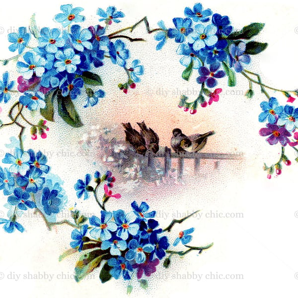 Waterslide Wood Furniture Vintage Image Transfer Shabby Chic Birds Forget Me Not