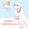 Beattie and the Robin - Christmas Card