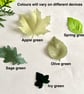 Beech sew on leaves in silk satin - Image 3