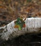 Handmade Felted Wool Leaf Brooch – Autumn Colours