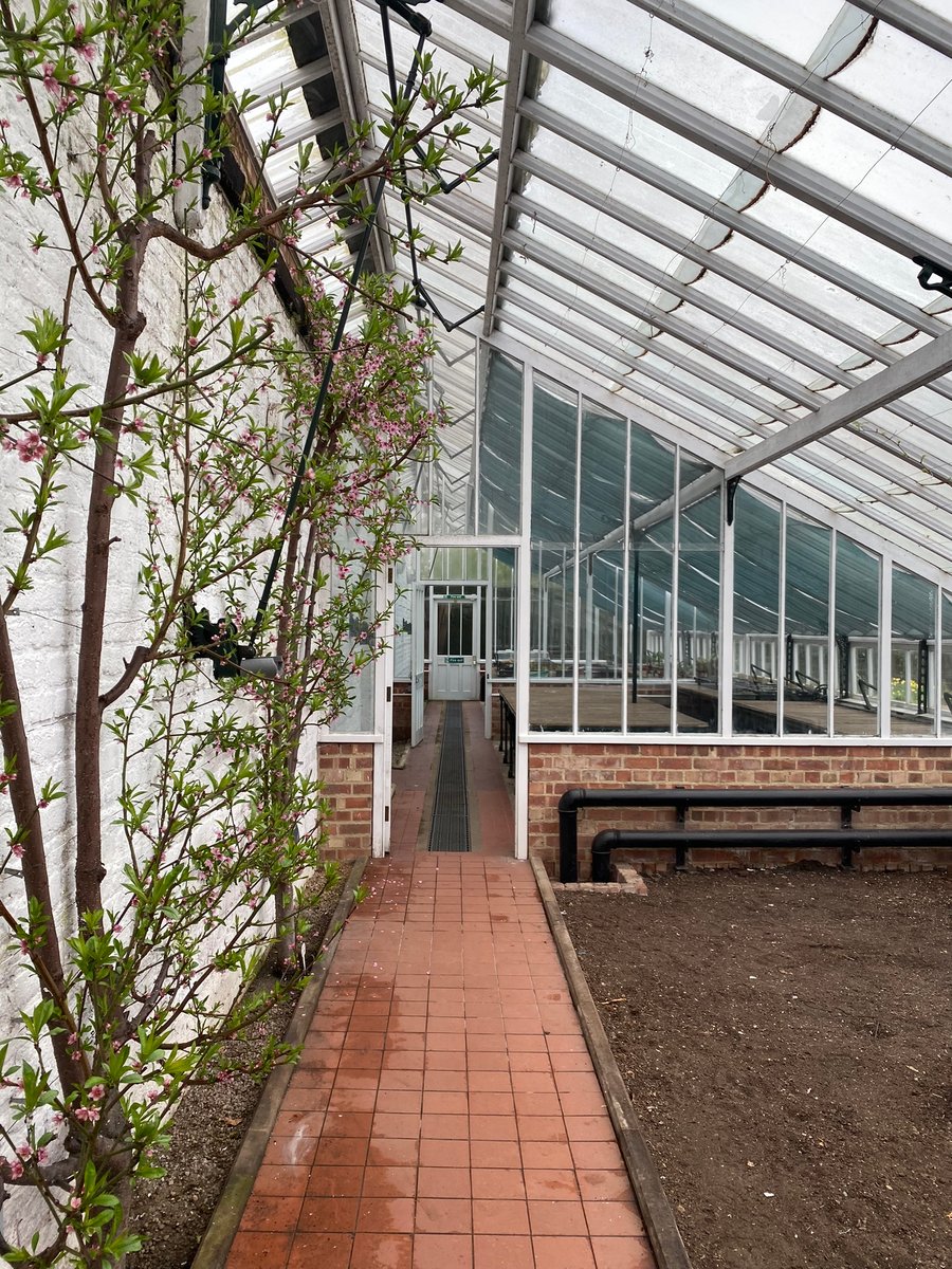 Flower Pressing Workshop - Grappenhall, Saturday 25th May