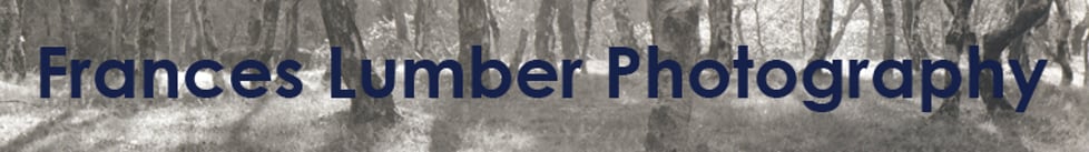 Frances Lumber Photography