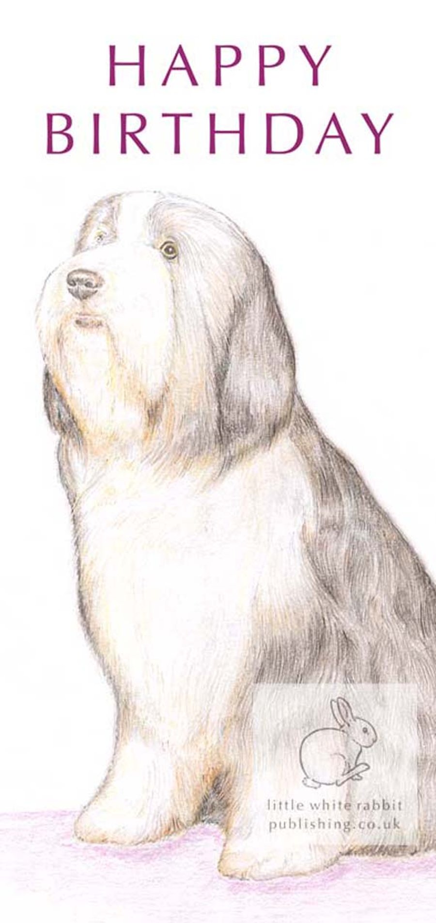 Sophie the Bearded Collie - Birthday Card