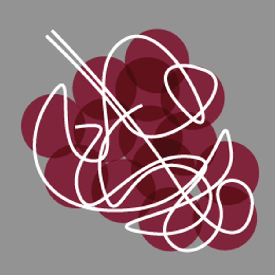 raspberry