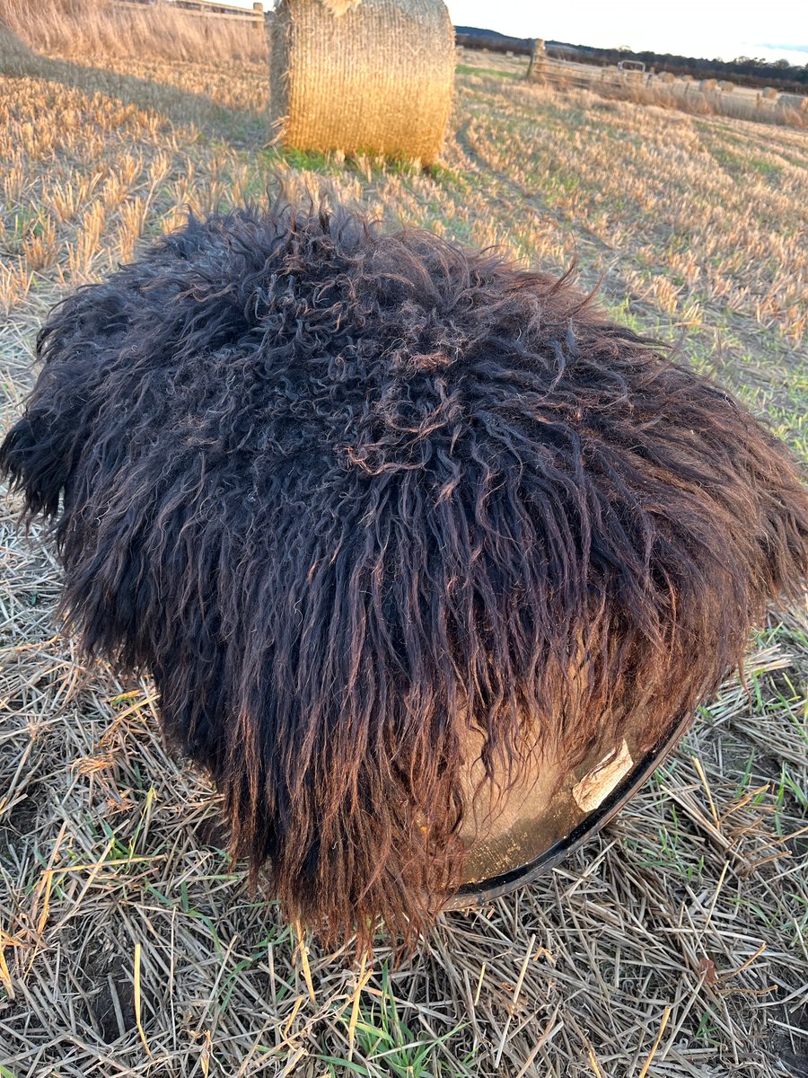 Hebridean Wet Felted Rug 