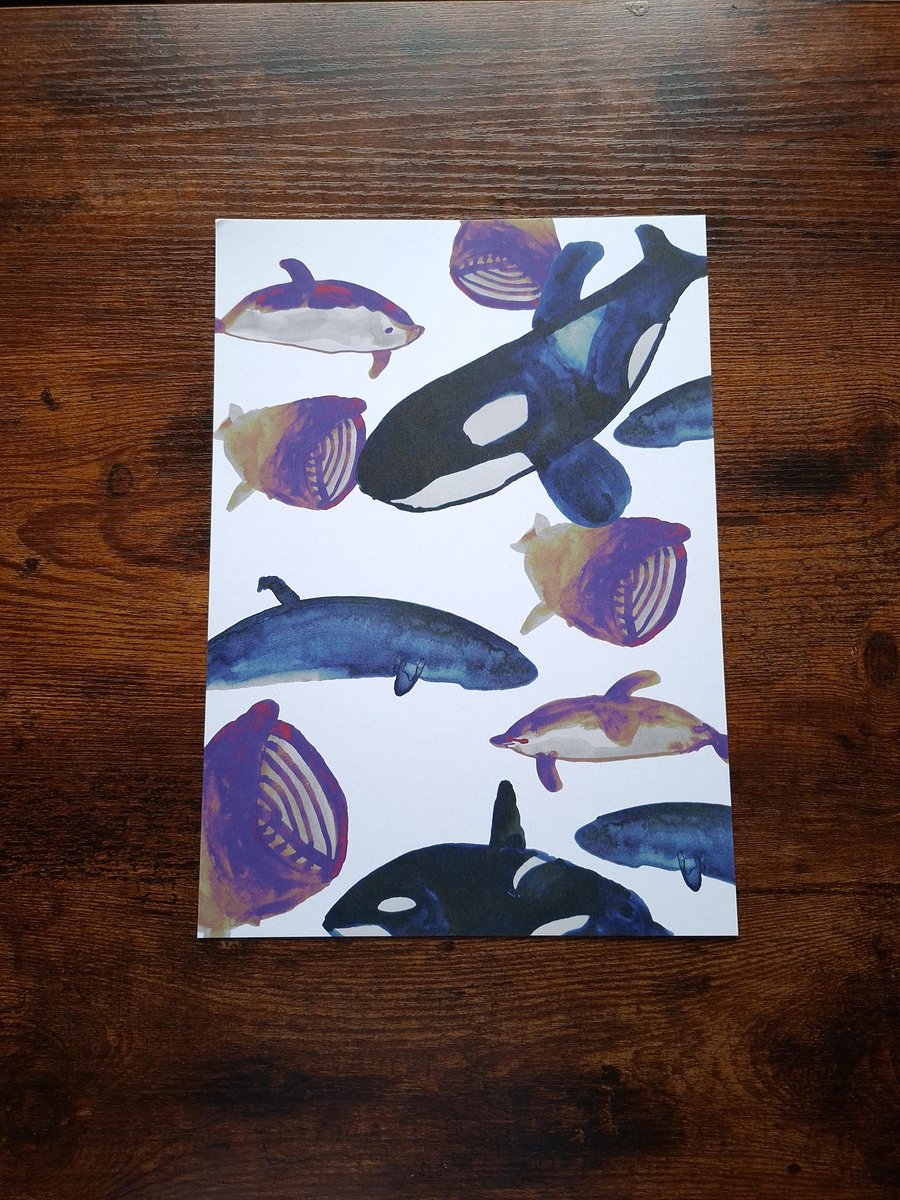 A4 Art Print Animals in UK Kelp Forests Made Using India Ink