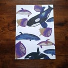 A4 Art Print Animals in UK Kelp Forests Made Using India Ink