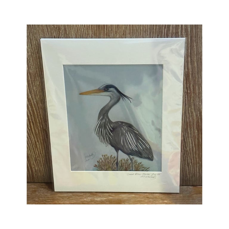 Perfectly Imperfect Great Blue Heron Pencil Drawing 9x12