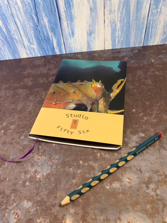 Notebook, Marine themed, A5 (ish), made from up-cycled and recycled materials.