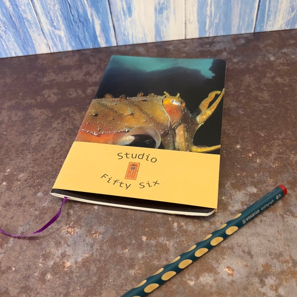 Notebook, Marine themed, A5 (ish), made from up-cycled and recycled materials.