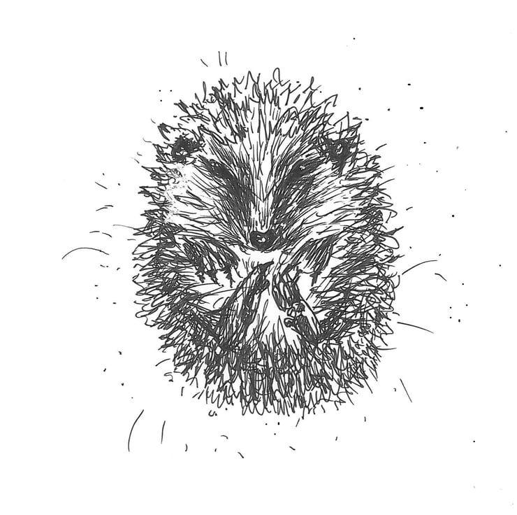 Gifts for Hedgehog Lovers