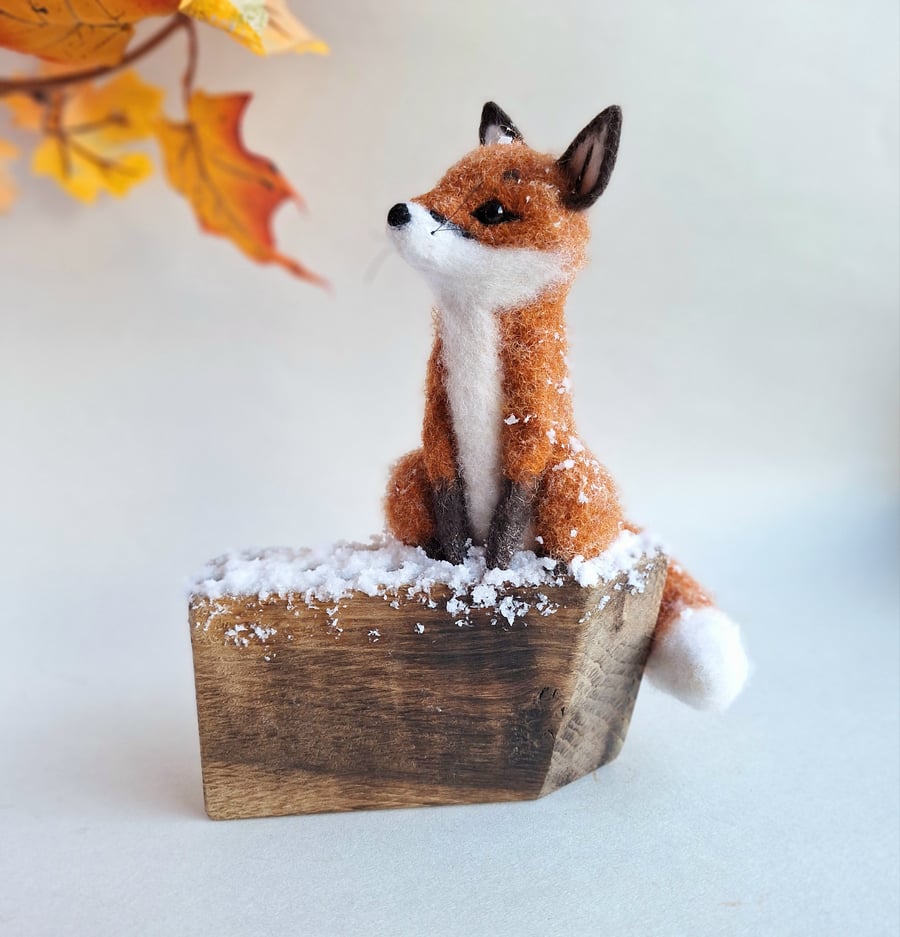Breagha the Fox
