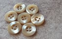 Mother of Pearl, Shell, Pearl, Organic 