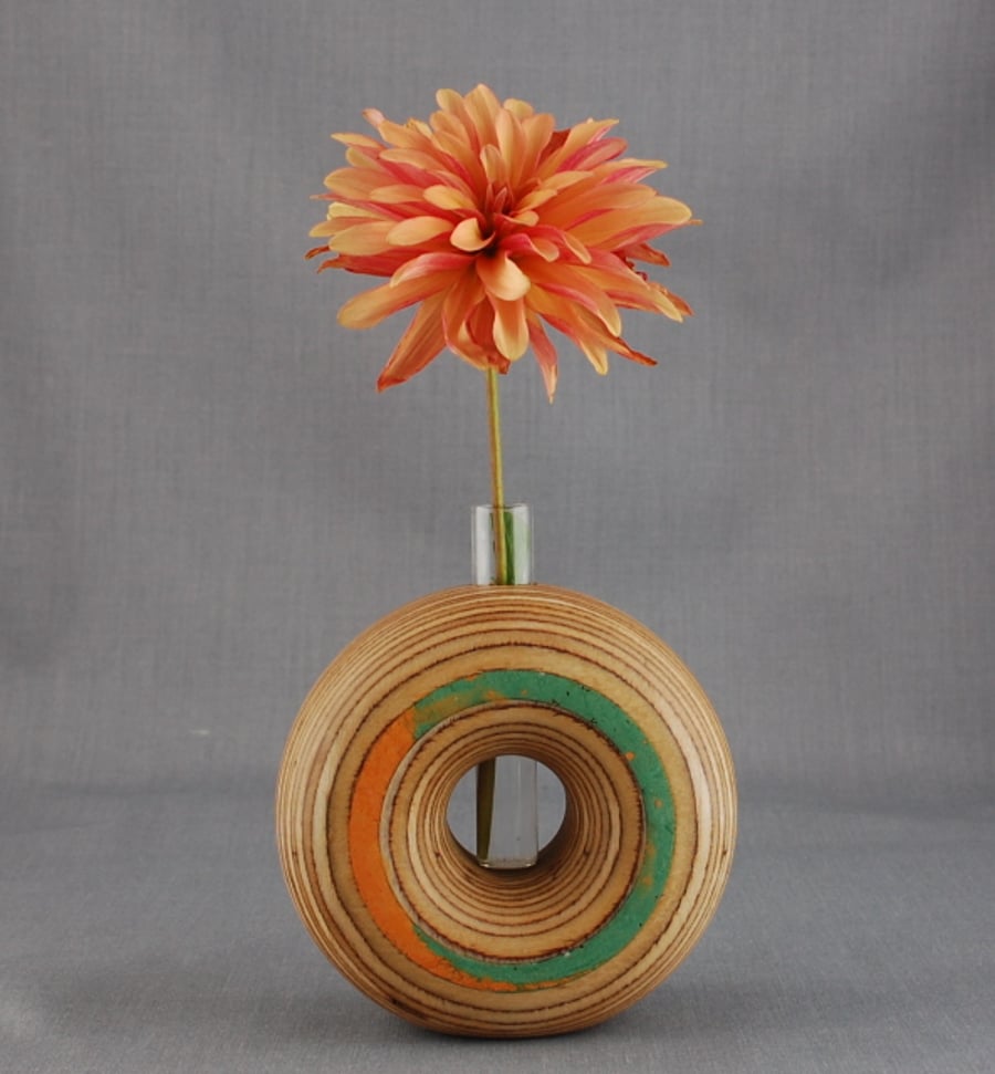  Toroid with Contemporary Colours