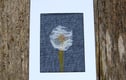 Textile art  pictures 