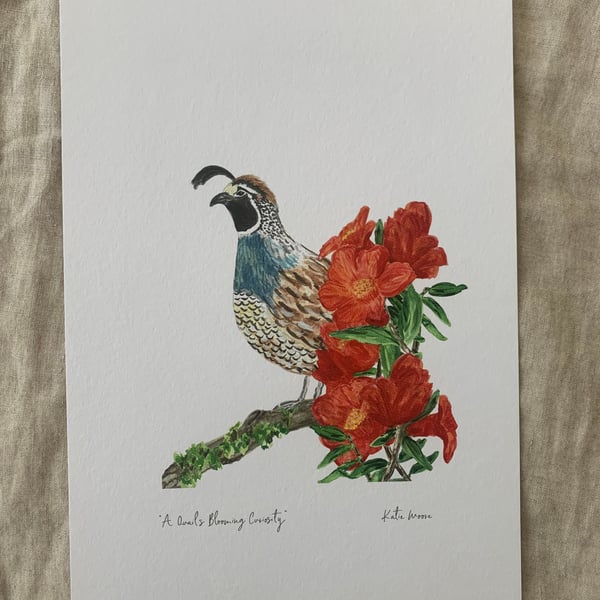 A Quail's Blooming Curiosity A4 & A3 Eco-Friendly Art Print
