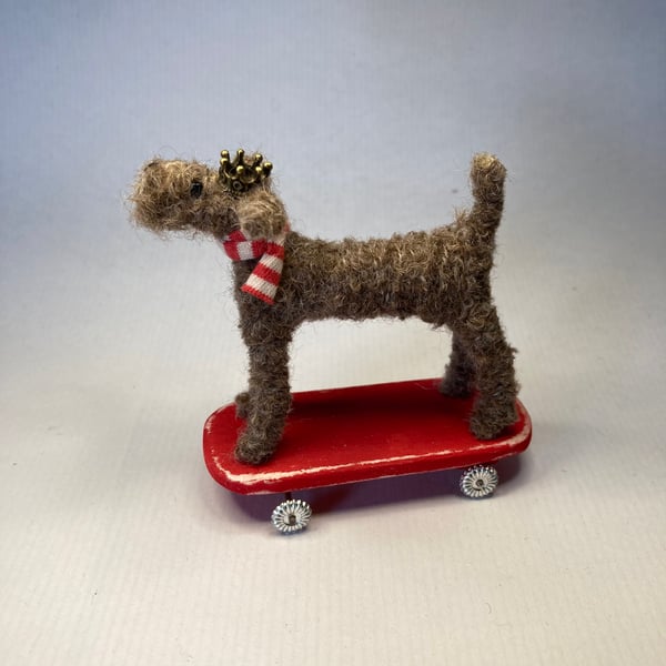 Buddy the skateboard terrier king. 