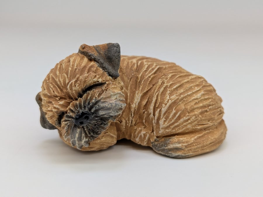 Sleepy Border Terrier 1