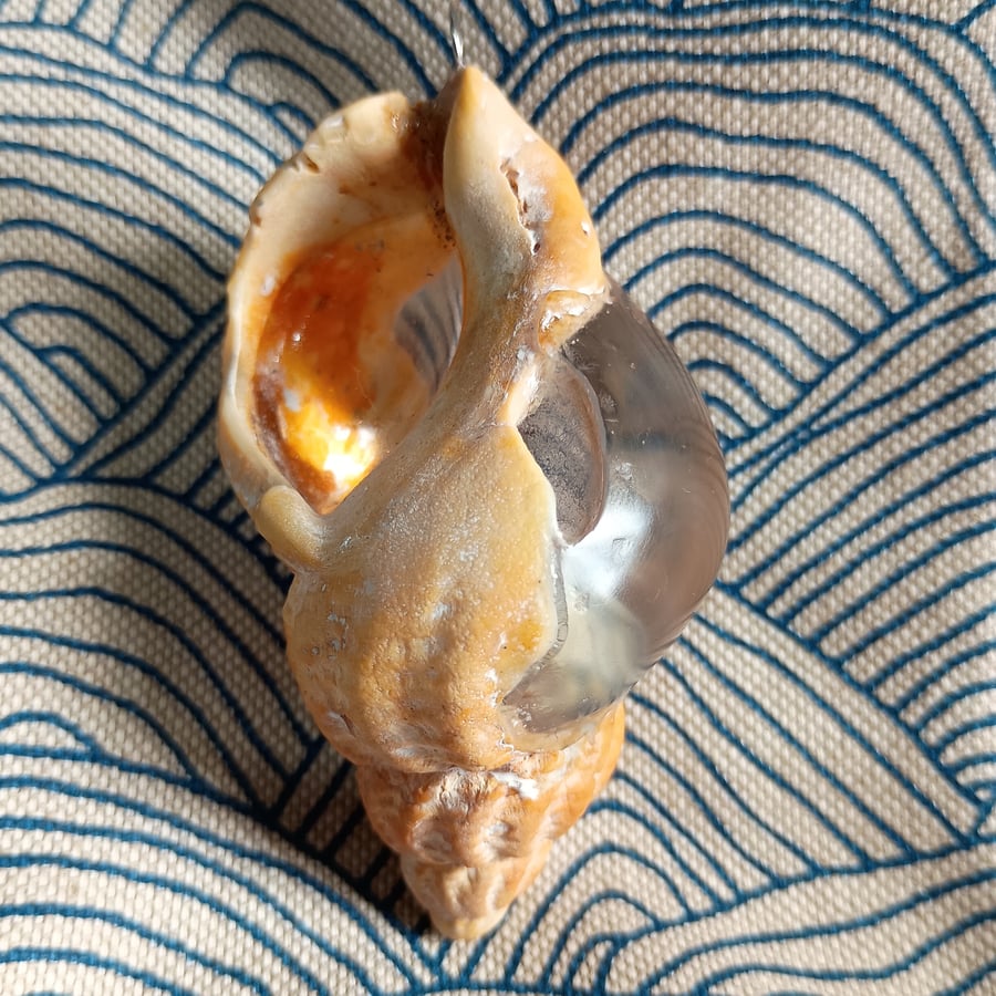 Rusted Ocean Resin Shell - Shore-Worn and Seawater Patinated