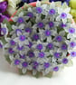 Summer Seconds White Purple and Fuchsia Flower Pot - Image 8
