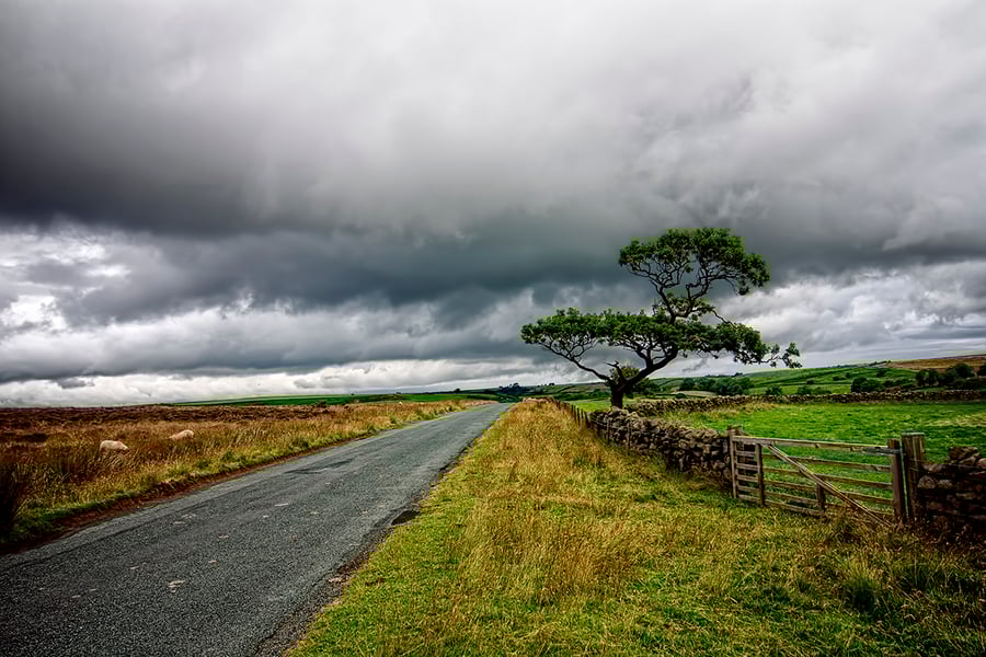The road ahead print