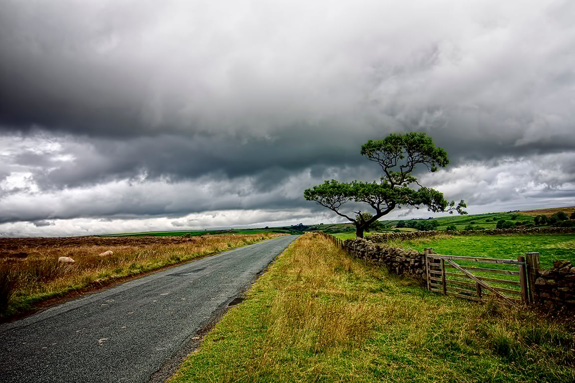 The road ahead print