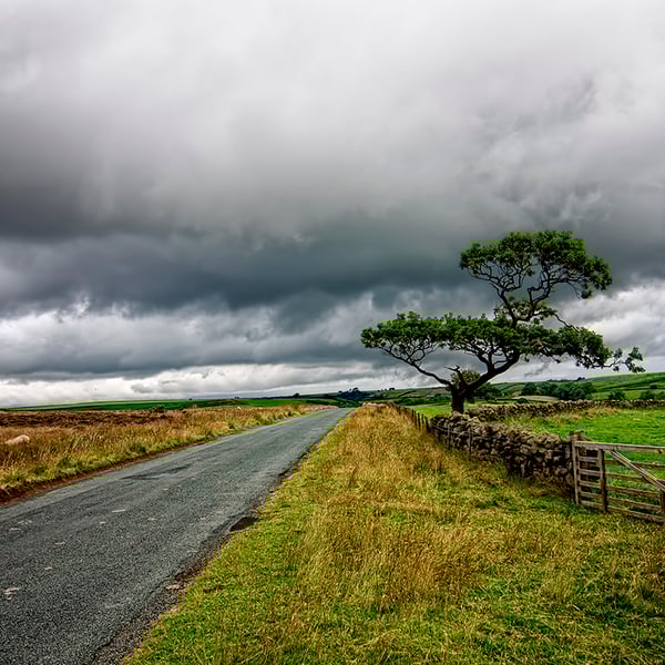 The road ahead print
