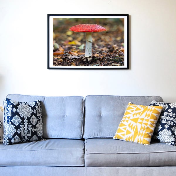 Fly agaric fungi - Amanita muscaria wall art print