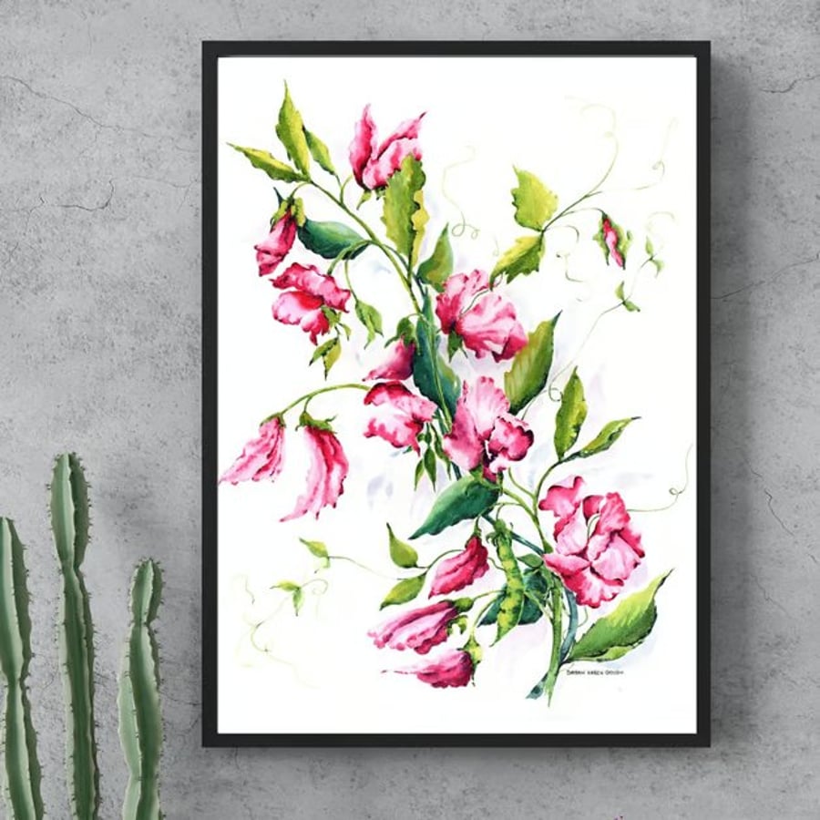 Pink Sweet Peas - Watercolour Floral Botanical Art Print Unframed