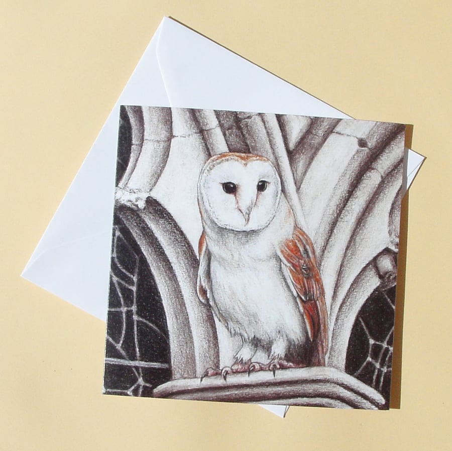 Greetings Card - Blank - Barn Owl at the Abbey