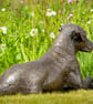 Lying Mixed Breed Rescue Dog Statue Large Bronze Resin Garden Sculpture - Image 4