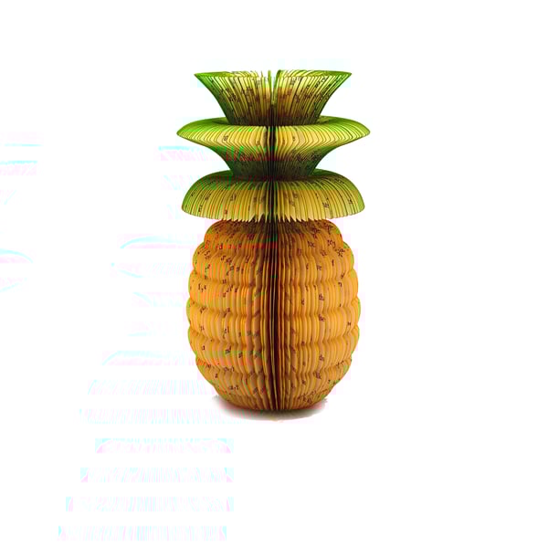 Personalised Pineapple Book Gift