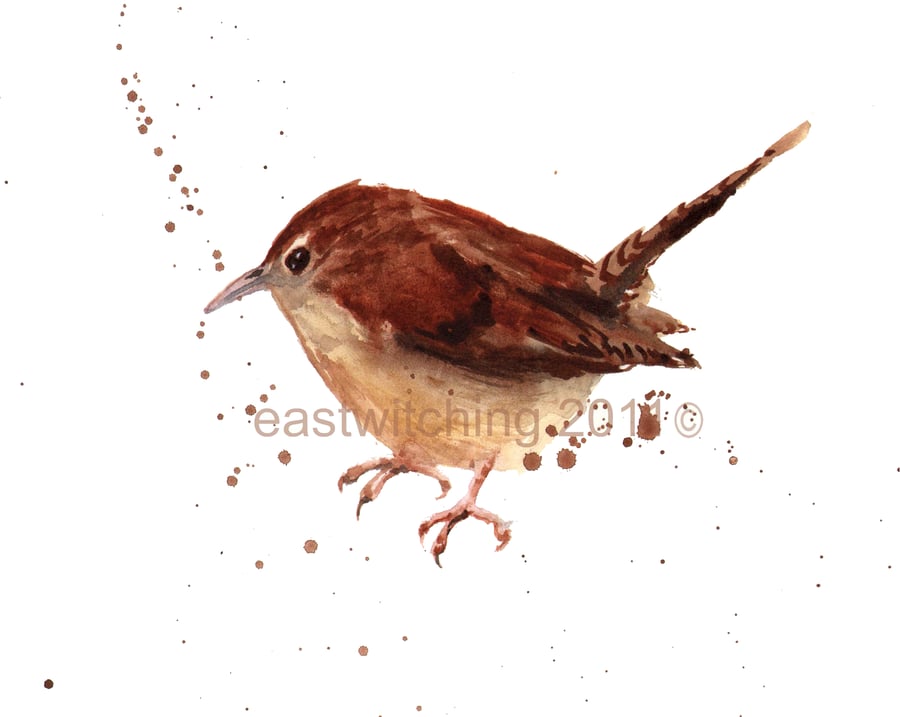 Wren Painting 
