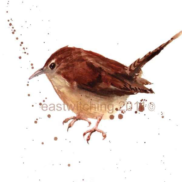 Wren Painting 