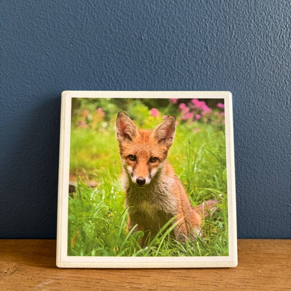 Red Fox Ceramic Coaster
