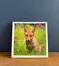 Red Fox Ceramic Coaster