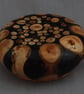 Millefiori Style Paperweight - Image 3